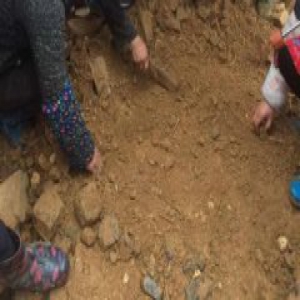 江西老屋现大量疑似银元遭抢 警方：调查有难度