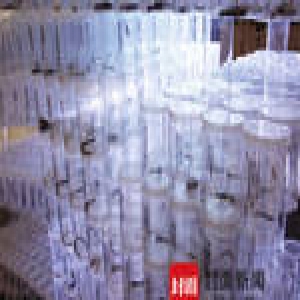 北京2000多位老人剪下白发呼唤儿女回家过年(图)