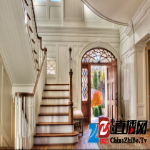 大卫地板专题1：导语