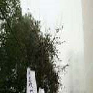 白纸黑字“求爱信”挂满校园 网友：索命的吧(图)