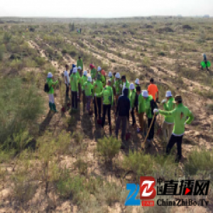 左右沙发签约2017百万森林计划，助力绿色幸福