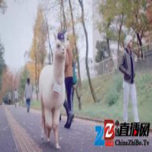 把羊驼变成邮递员,就连收不到包裹这件事也可以原谅了呢