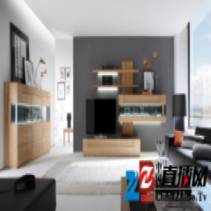 红星美凯龙 全球理想家第2集 EUHOME欧罗汇世家