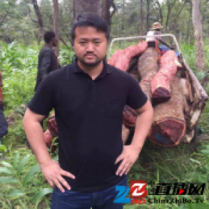 非洲小叶紫檀必是红木市场的潜力股-徐长宇