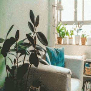 网络女作家活得太"作" 竟花7千把出租房改成豪宅