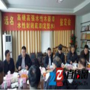 唱响高科技凯康化工水性木器漆项目评价会胜利闭幕