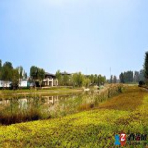 生活在与自然为伍的“庄园别墅” 是一种怎样的体验？