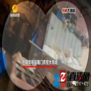 湖南查获8吨毒狗肉:毒镖射杀 剧毒物网上随意买