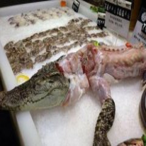 陕西超市生鲜区卖活鳄鱼 关在铁笼四肢可活动