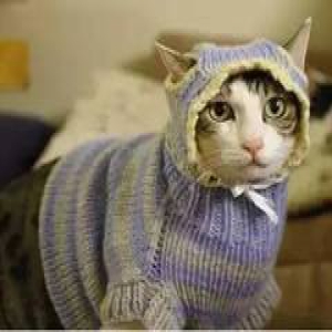 中国家长的一天！简直太形象了～刷爆朋友圈！