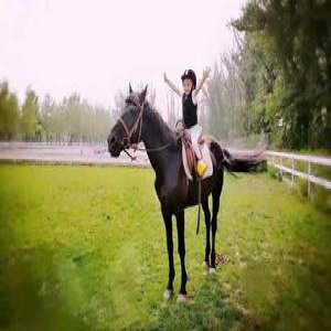 免费福利：300英文绘本一大波亲子活动等你来