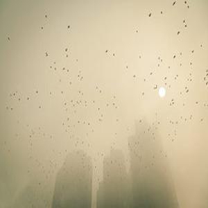 学生举报学校雾霾天未停课 个人信息被泄露遭约谈