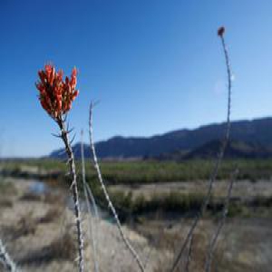 2017中考数学复习：三大点和三小点