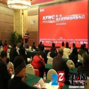 十余个国家搏击选手将出战首届功夫世界杯