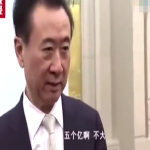 王健林：2017年圈下两个重点 让万达颠覆万达