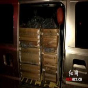 这个司机真胆大！非法运输390多公斤“黑火药”被刑拘