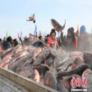 中国最大高山堰塞湖冬捕首次“放生头鱼”(图)