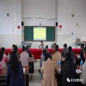 县教育局局长到勐养镇开展两个“主题年”活动专题培训