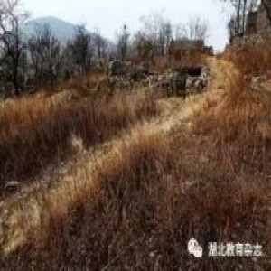 荐书丨《田野调查?被遗忘的村落》