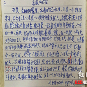 湖南小学生写期末评语走红网络 感动老师和家长