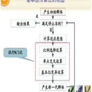 深入浅出遗传算法