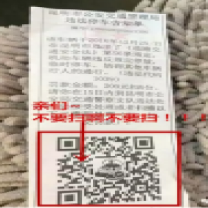 云南首例伪造二维码罚单案告破 嫌疑人被刑拘