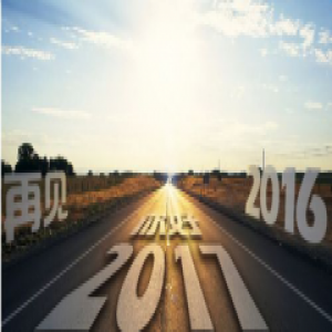 2016大事记丨这一年的大艺树地板