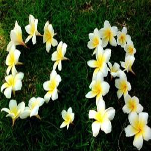 2017年起广州全面实施异地中考