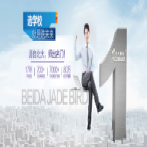 争做互联网人！ 选择北大青鸟让你跳出“薪”高度