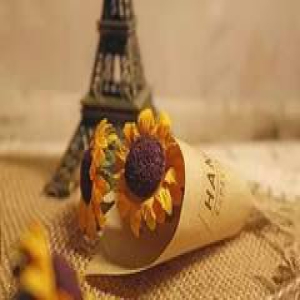 老师，寒假请开启愉悦模式~