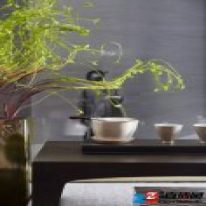 首映 | 葛亚曦：保利翡丽甲第，给设计留点自由