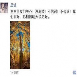 陈思诚发声否认离婚：不信谣！不传谣！