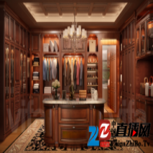 科技改变生活 详解威法衣柜科学高效的功能设计