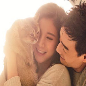 超暖！秦凯何姿抱流浪猫登封传递公益力量