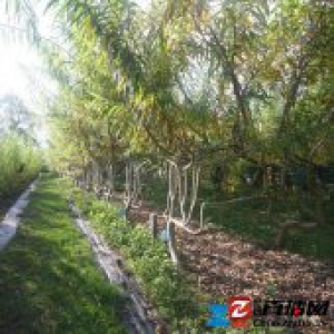 这个相当特殊的“冰箱”，不做饭的人会喜欢｜这个设计了不起