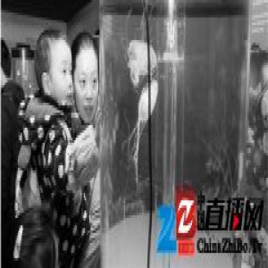 过年期间，杭州城区文化场馆精彩全搜索