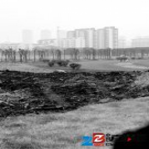 江苏常州毒地修复谁买单 损害认定追责举证难