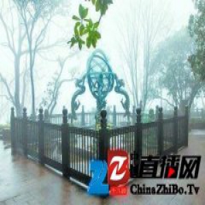 农历鸡年共384天 将现“一年两头春”现象