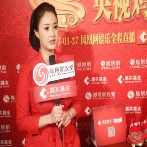 专访蒋欣：对我们这一代来说上春晚是一种荣誉