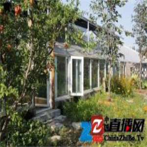 大叔17万改320平乡下大棚 务农也能如此优雅