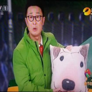 林永健谈“鲜肉”演员：我合作的手都还不错(图)