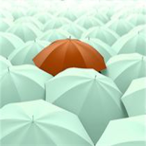 兴业证券：春节后红包行情继续 节后资金回流