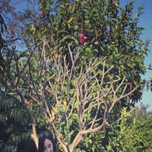 李小璐与女儿穿同款花裙 小甜馨越来越漂亮啦！