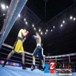 世界拳击联赛三亚上演“龙虎斗” 中国龙队逆转获胜