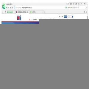立邦工程全新官网上线 五大亮点一“触”刷新