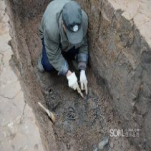 四川成都楼盘工地发现60座战国船棺墓(图)