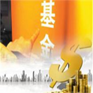 基金业新年四大变局：产品表现不一 集体唱多A股