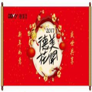 2017，德美花开——德美瓷砖启动2017年主题推广