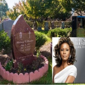 惠特尼逝世五周年：已经少有粉丝前来扫墓