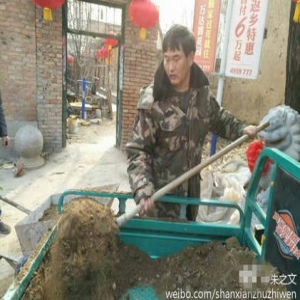 “大衣哥”朱之文手持铁锹翻修墙院 朴素菜园大公开